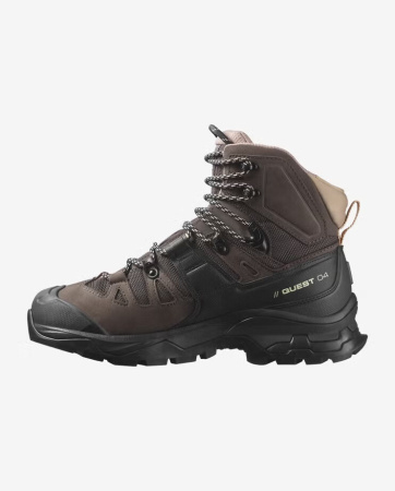 Ботинки QUEST 4 GTX W (RU 38 UK 6 USw 7.5 СМ 24; shopping bag/black/cork)